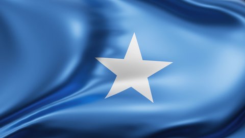 Somalia Flag Background Waving Wind Cycle Stock Footage Video (100% ...