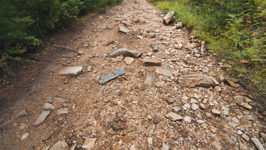 A stone trail in the Siberian forest.