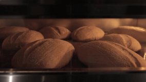 Rising and baking of white bread in bakery oven, timelapse video. Crusty of bread.