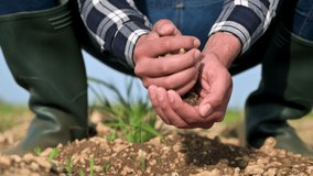 Male hands touching soil on the field. Expert hand of farmer checking soil health before growth a seed of vegetable or plant seedling. Business or ecology concept. High quality 4k footage