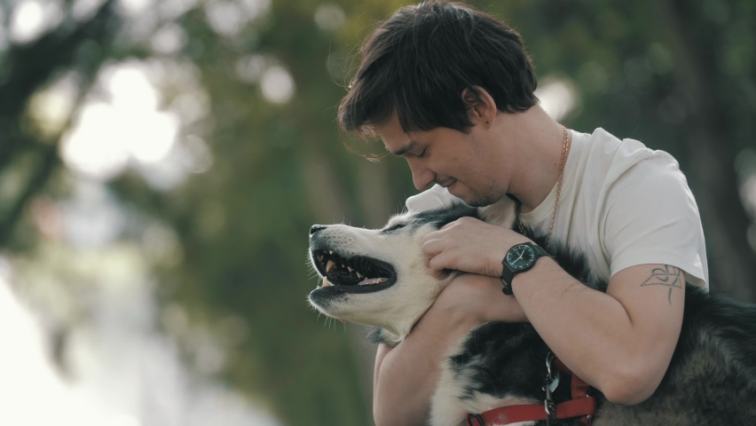  Man caressing Husky dog and sitting on grass in park during stroll.