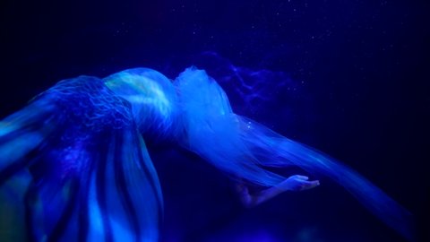 the mermaid waves tail and bends in the dark water. blue light. the general plan