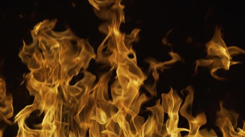 Fire flames on black background. Fire effect. Fire burn flame isolated, abstract texture.
