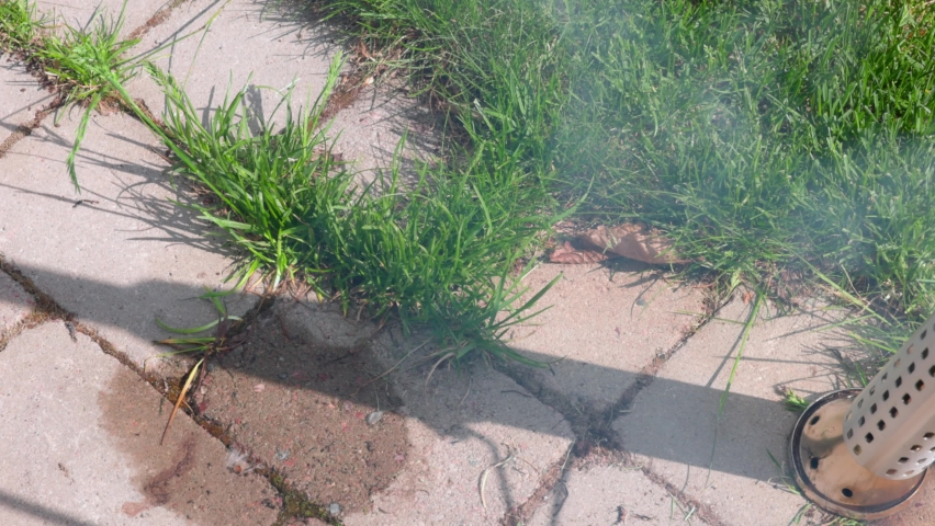  Short film showing process of burning grass between street tiles with an electric burner. Sweden.  | Shutterstock HD Video #1090524981