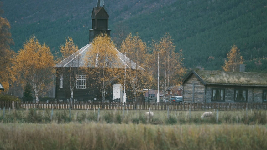 An old wooden church in rural Norway. Sheep grazing on the field near the church. Slow-motion, pan follow.