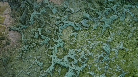 Aerial Drone Shot Of Coral Reef In The Shallows