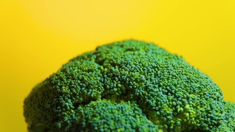 Close up Green fresh broccoli vegetables rotating on yellow isolated background. macro footage of Fresh raw broccoli rotating