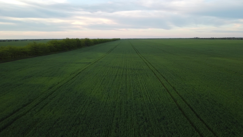 Grain elevator. Metal grain elevator in agricultural zone. Agriculture storage for harvest. Grain silos on green nature background. Exterior of agricultural factory. Nobody.