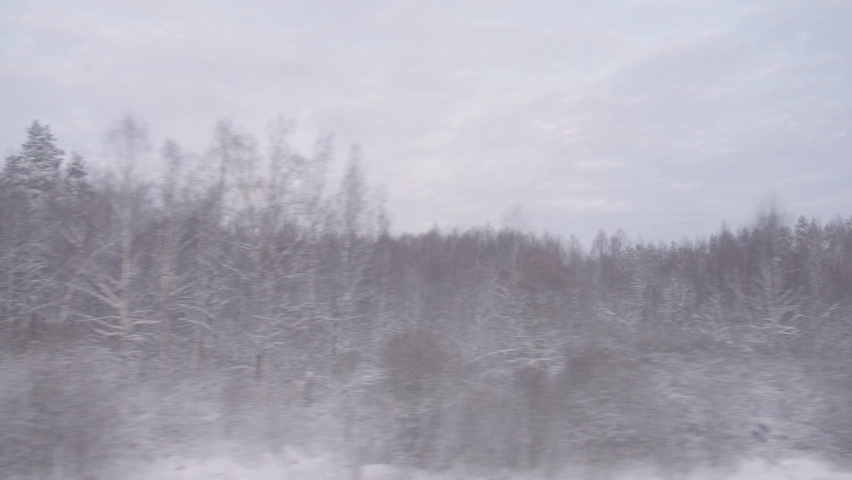 Background view from the window of a moving train with a winter forest. Pine forest interspersed with birches covered with snow and the ground under the white snow of the Siberian part of Russia
