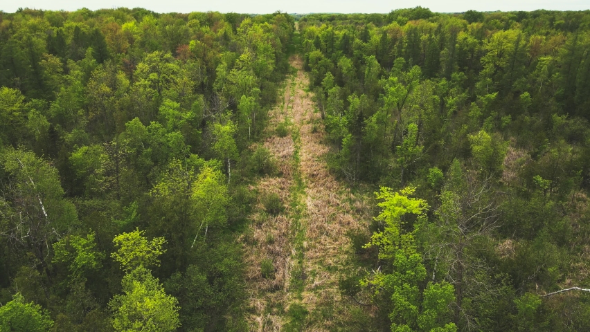 In rural wisconsin on a windy day the drone hovers over the fields. A vibrant green shows all over during springtime with the clouds flying past.