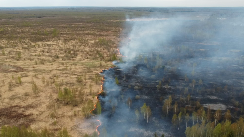 Divided into two by the fire line in the middle. Epic aerial footage of smoking wild fire. Forest and field in the fire. Amazon and siberian wildfires. Dry grass burning. Concept: Climate change Royalty-Free Stock Footage #1090547599