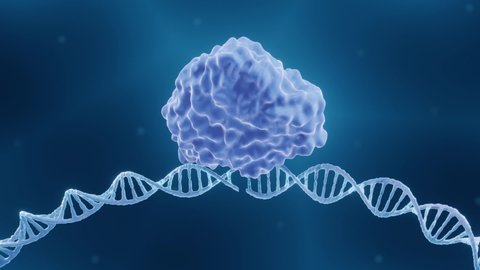 41 Crispr Cas9 Stock Video Footage - 4K and HD Video Clips | Shutterstock 41 Crispr Cas9 Stock Video Footage - 4K and HD Video Clips | Shutterstock