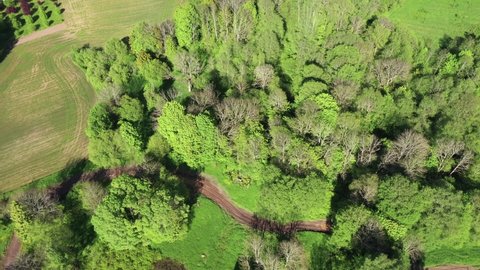 Curved Dirt Road Between Trees, Aerial Reveal Shot on Spring Day
