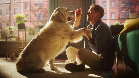 Happy Handsome Young Man Play with His Dog at Home, Gorgeous Golden Retriever. Attractive Man Sitting on a Floor Teasing, Petting and Scratching an Excited Dog, Have Fun in the Stylish Apartment.