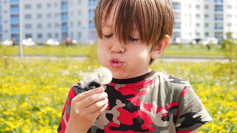 Close-up of a boy blowing on a dandelion against a dandelion lawn in the city