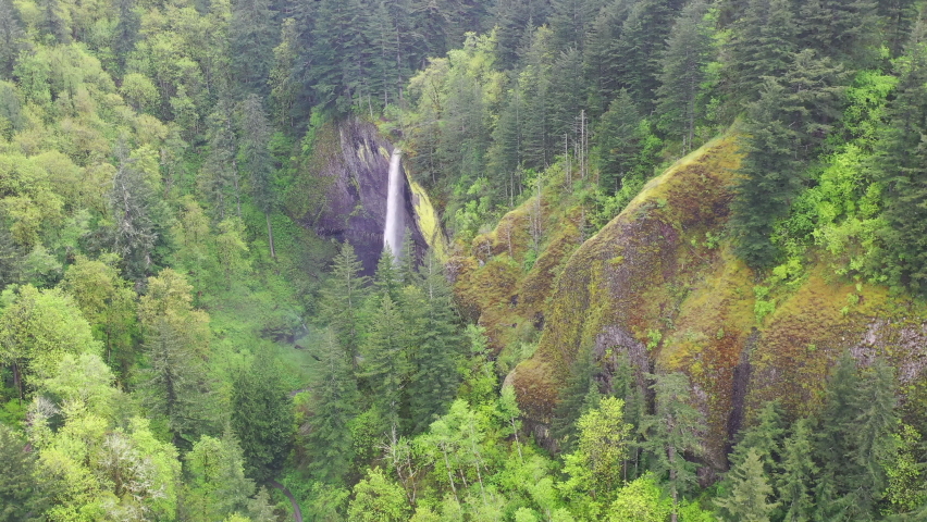 A beautiful forest surrounds a gorgeous waterfall that drops almost 250 feet, eventually flowing into the Columbia River in Oregon. The Pacific Northwest is known for its green, biodiverse forests.