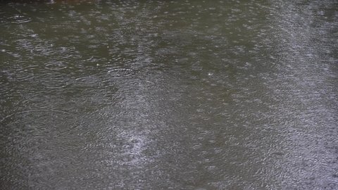 Large Puddle Bubbles Heavy Raindrops Stock Footage Video (100% Royalty ...