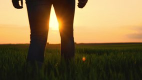 Farmer Walking on Agriculture Field at Sunset. High quality 4k footage