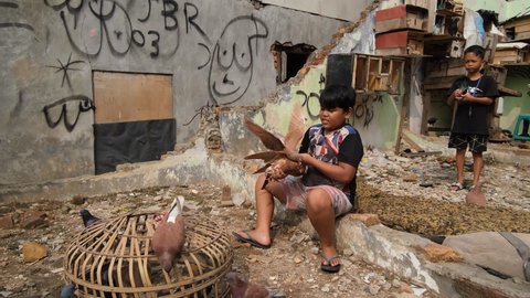 a kids playing with a pigeons. Pigeon cages.  Tanah Abang, Jakarta. 25 May 2022.