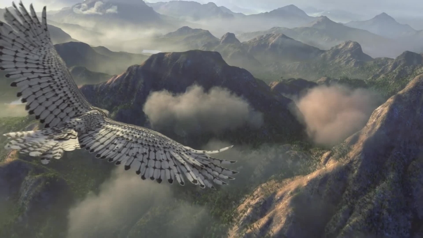 Eagle fly in the sky 3D animation with VFX