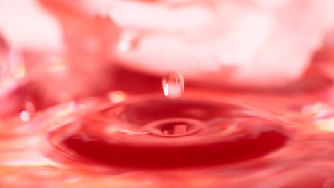 Slow motion close-up pink water drop splashing on blurred rose flower background
