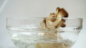 Falling mushrooms Pleurotus ostreatus in a glass bowl of water. Slow motion. - Powered by Shutterstock - Get 15% off with code: PIKWIZARD15