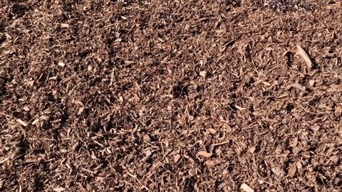 Wood chip bark chippings having been shredded for use as a garden mulch by the lumber timber industry which can be used as an abstract texture background, video footage clip