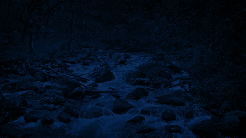 Looped Shot Of Woodland River At Night
