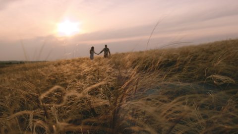 Wild feather grass in a field at sunset. A man and a woman enjoy nature and the sunset. A field of golden spikelets swings. Natural landscape. Calm scene. Slow motion
