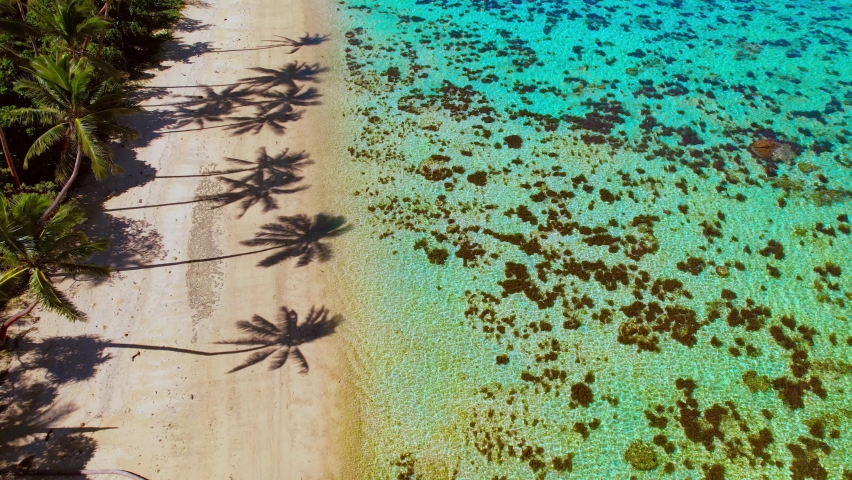 Palm tree shadows on sand beach exotic tropical island paradise - Fiji Aerial Royalty-Free Stock Footage #1090618745