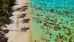 Palm tree shadows on sand beach exotic tropical island paradise - Fiji Aerial