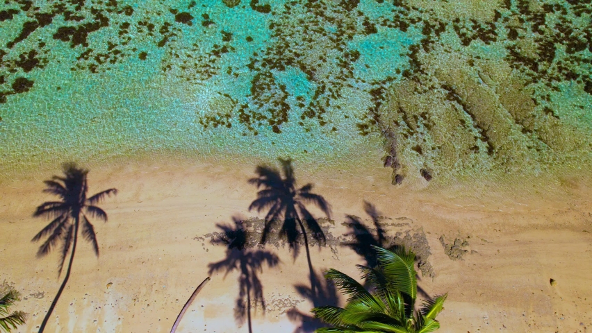 Fiji aerial tropical palm tree shadows island paradise by emerald coral reef Royalty-Free Stock Footage #1090618751