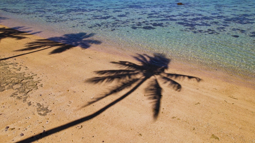 Fiji aerial tropical palm tree shadows island paradise by emerald coral reef Royalty-Free Stock Footage #1090618757