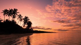 Golden sunrise over Fiji aerial footage of beach palm trees in tropical paradise