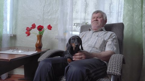 Old man is rocking on rocking chair and holding his beloved pet in his arms. Small dachshund puppy is sitting in arms of elderly owner on chair, front of TV. Zootherapy for elderly in nursing home.