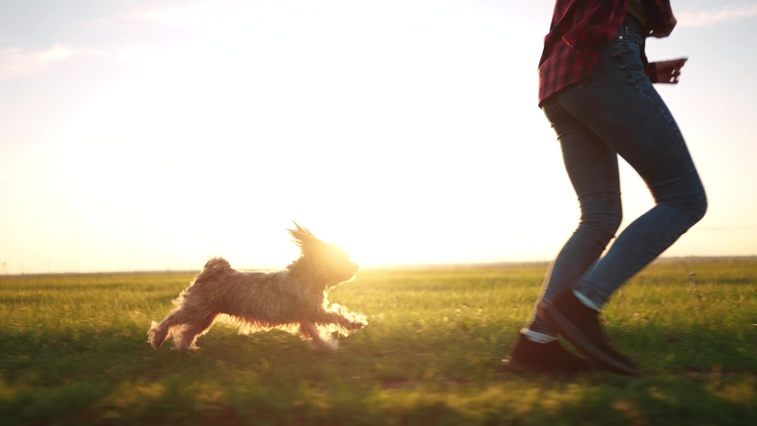 dog and teenage girl a running in the park legs close-up. animal pet run. sport health happy family kid dream concept. shaggy dog runs in nature in the park on the sun grass after the owner of girl Royalty-Free Stock Footage #1090632389