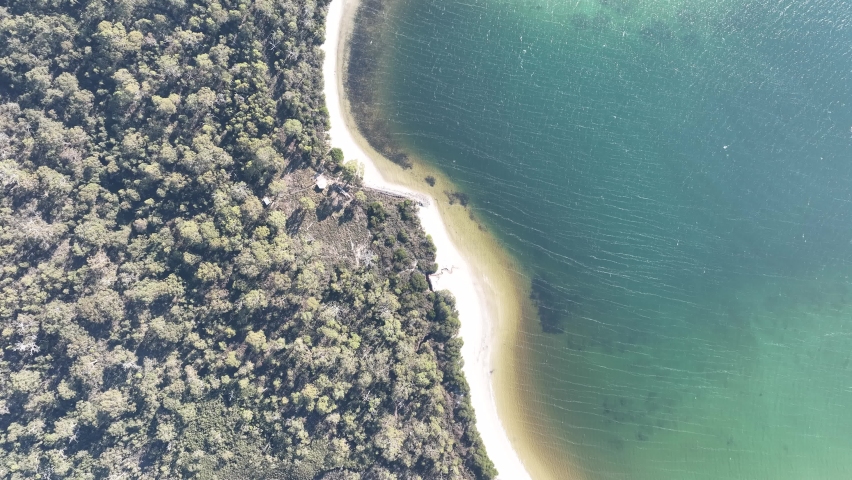 coastline next to bushland in tasmania australia