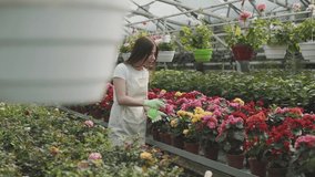 Girl sprays flowers in the garden. Caucasian woman takes care of plants by moisturizing them. Slow motion video of gardening