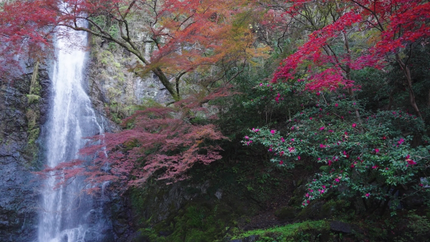 Popular Tourist Destination in Japan, Minoh Waterfall in Osaka, Springtime Royalty-Free Stock Footage #1090648425