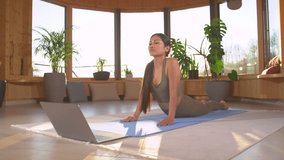 SLOW MOTION: Young Asian woman doing yoga, changes pose from upward to down dog. Pretty Filipina practicing yoga at home in beautiful afternoon light. Healthy exercises for flexibility and wellbeing.