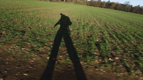 Autumn walk across a field, long shadow of person profile