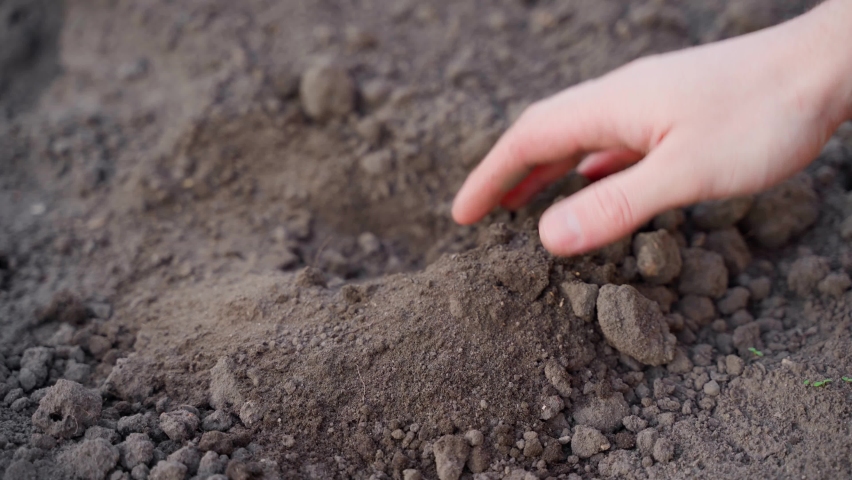 A hand checks the soil for moisture close-up. Analysis of the state of the earth in the spring before the season. Viscosity and texture of chernozem. High quality 4k footage Royalty-Free Stock Footage #1090671647