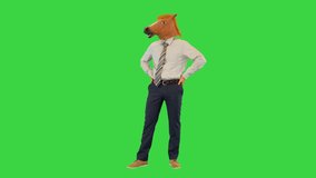 Confident business owner, leader or boss in horse mask walk akimbo with hands on hips looking around on a Green Screen, Chroma Key. - Powered by Shutterstock - Get 15% off with code: PIKWIZARD15