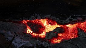 Orange flames of a campfire close-up. Tongues of flame move over the firewood. Horizontal video of nature. High quality 4k footage