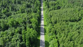 Aerial drone shot of straight country road through the green forest with cars in summer