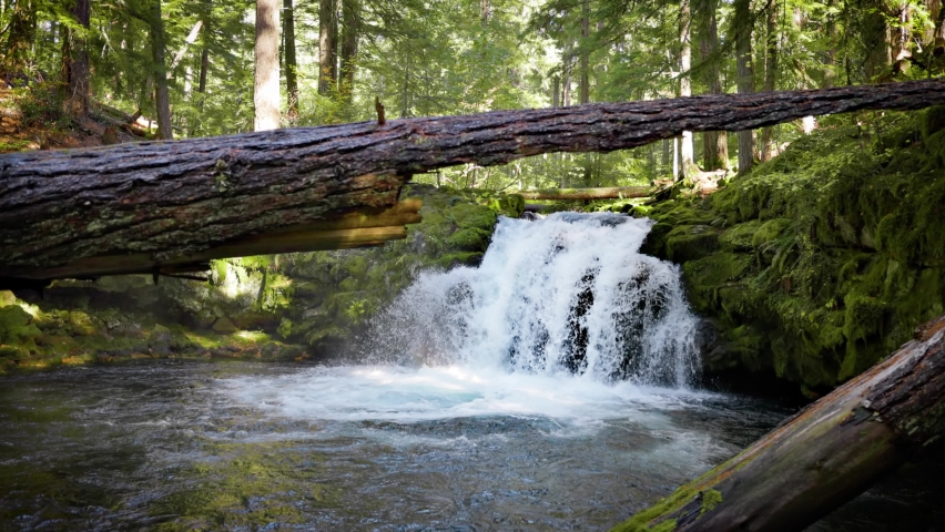 The beautiful White Horse Falls on the Clearwater River in Oregon, USA. Slow Motion.