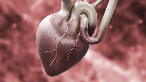 65 Acute Myocardial Infarction Stock Video Footage - 4K and HD Video Clips | Shutterstock 65 Acute Myocardial Infarction Stock Video Footage - 4K and HD Video Clips | Shutterstock