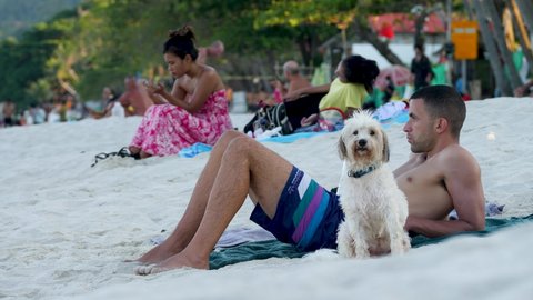 Ko Samui, Thailand - May 6, 2020: Dog owner and fluffy dog on sand beach. Dog-collar. People sunbathe or bathe on Chaweng beach. Tourism, travel or vacation concept