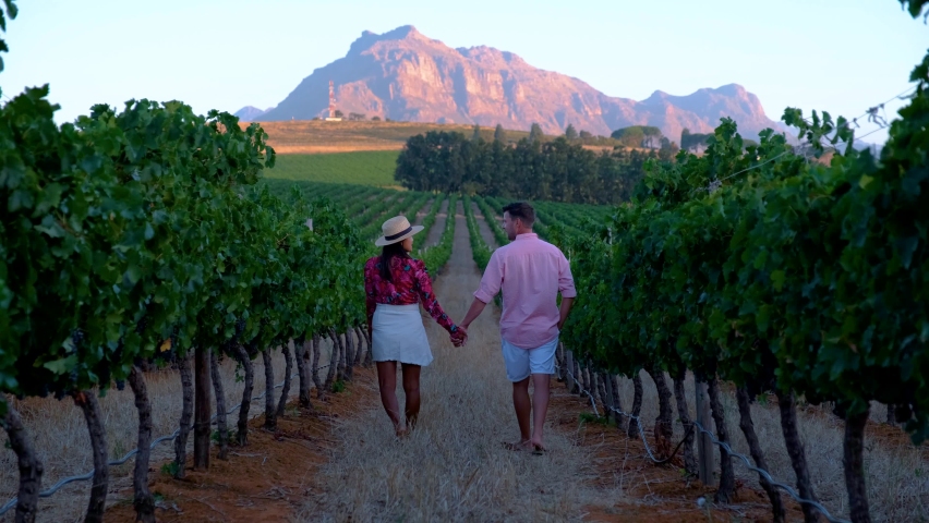 Vineyard landscape at sunset with mountains in Stellenbosch, near Cape Town, South Africa. wine grapes on the vine in a vineyard, couple man and woman walking in Vineyard in Stellenbosch South Africa