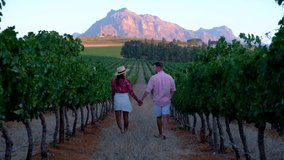 Vineyard landscape at sunset with mountains in Stellenbosch, near Cape Town, South Africa. wine grapes on the vine in a vineyard, couple man and woman walking in Vineyard in Stellenbosch South Africa - Powered by Shutterstock - Get 15% off with code: PIKWIZARD15